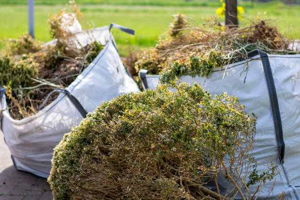 Best Junk Hauling Services  in Clarence Center, NY